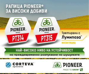 Pioneer 2025